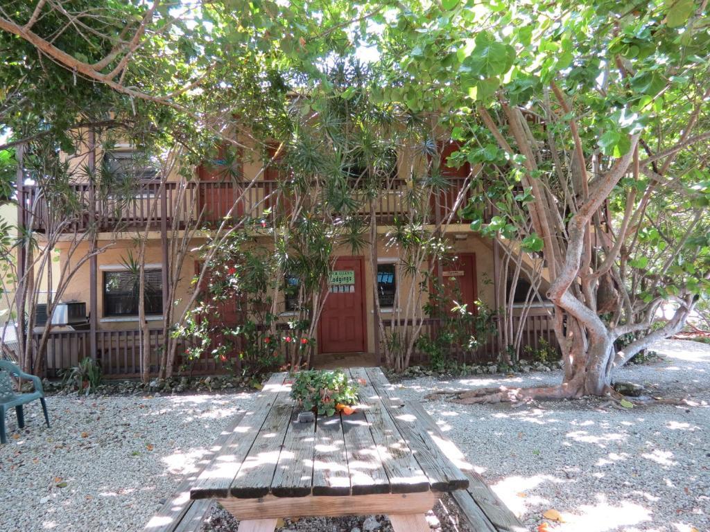 Ed & Ellen'S Lodgings Key Largo Motel Esterno foto