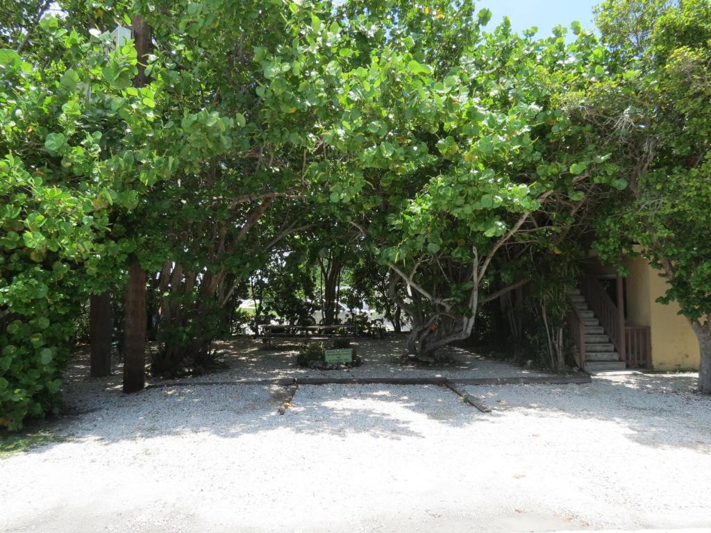 Ed & Ellen'S Lodgings Key Largo Motel Esterno foto