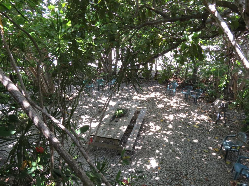 Ed & Ellen'S Lodgings Key Largo Motel Camera foto