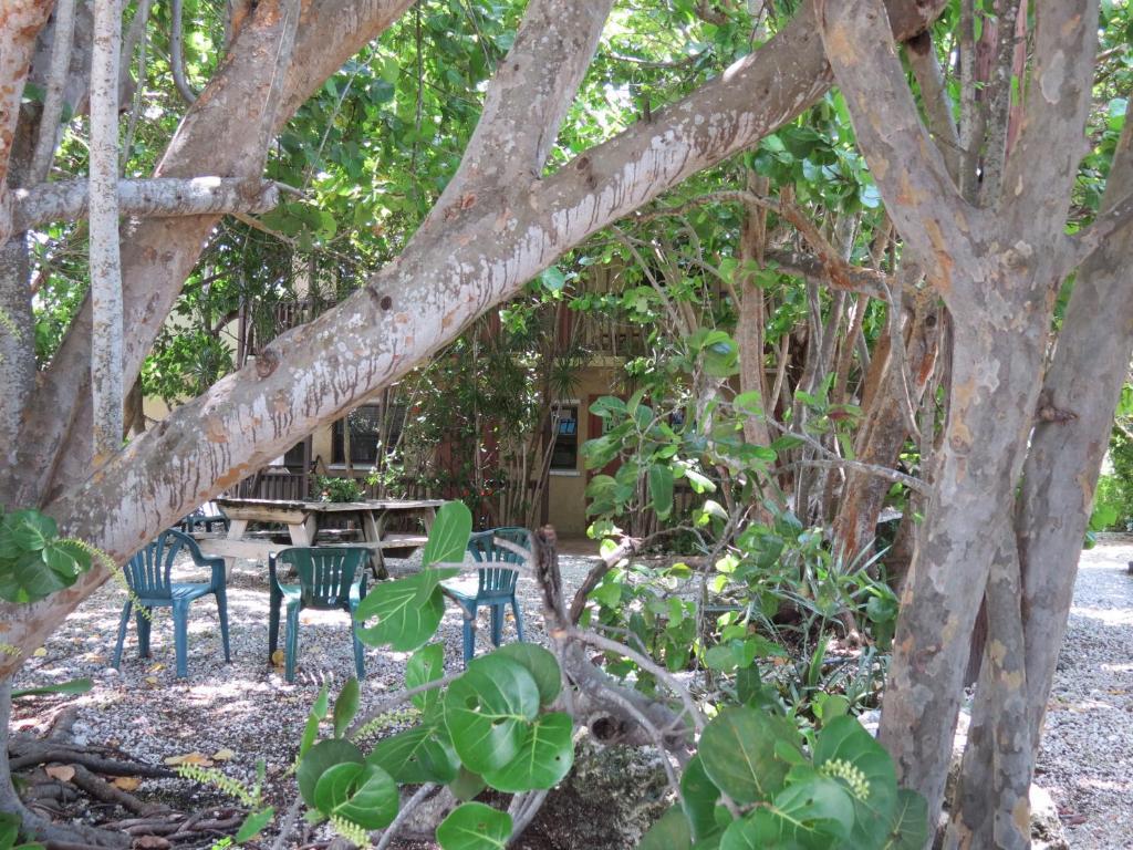Ed & Ellen'S Lodgings Key Largo Motel Esterno foto
