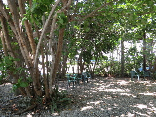 Ed & Ellen'S Lodgings Key Largo Motel Esterno foto