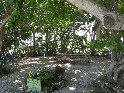 Ed & Ellen'S Lodgings Key Largo Motel Esterno foto