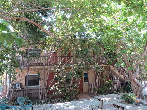 Ed & Ellen'S Lodgings Key Largo Motel Esterno foto