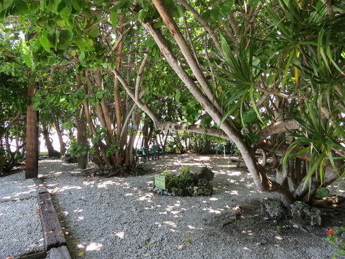Ed & Ellen'S Lodgings Key Largo Motel Esterno foto