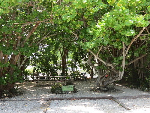 Ed & Ellen'S Lodgings Key Largo Motel Esterno foto